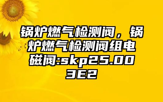 鍋爐燃?xì)鈾z測(cè)閥，鍋爐燃?xì)鈾z測(cè)閥組電磁閥:skp25.003E2