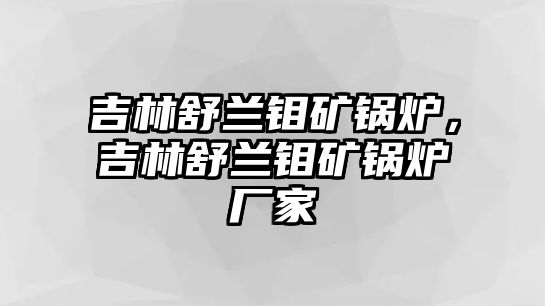 吉林舒蘭鉬礦鍋爐，吉林舒蘭鉬礦鍋爐廠家