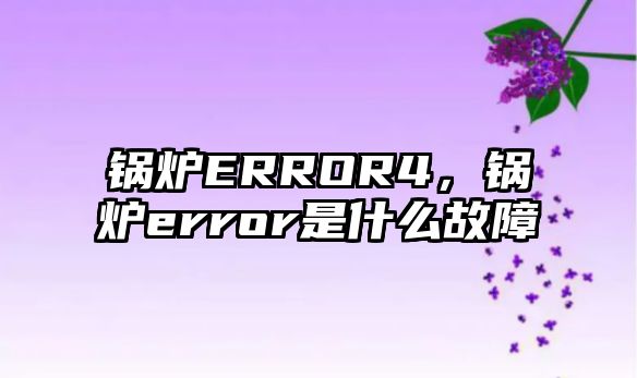 鍋爐ERROR4，鍋爐error是什么故障