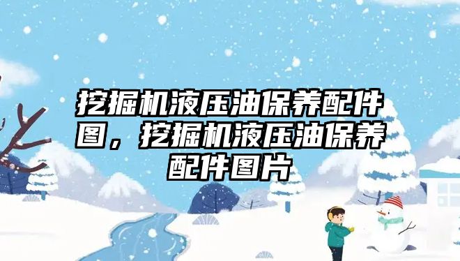 挖掘機液壓油保養(yǎng)配件圖，挖掘機液壓油保養(yǎng)配件圖片