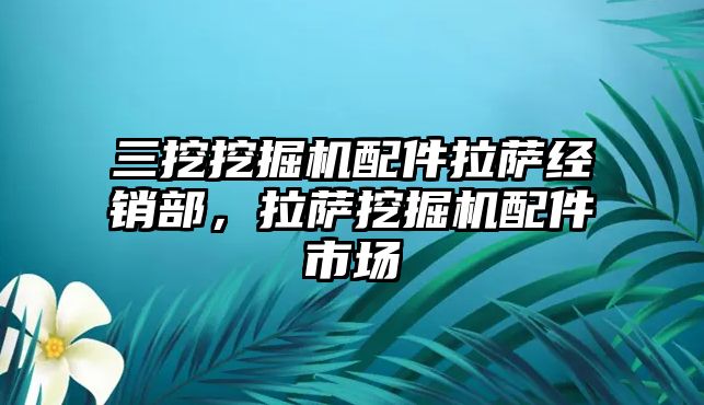 三挖挖掘機配件拉薩經(jīng)銷部，拉薩挖掘機配件市場