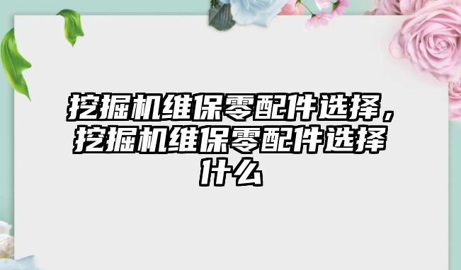 挖掘機維保零配件選擇，挖掘機維保零配件選擇什么