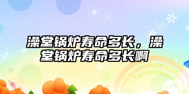 澡堂鍋爐壽命多長(zhǎng)，澡堂鍋爐壽命多長(zhǎng)啊