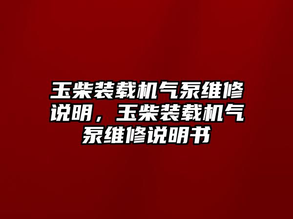 玉柴裝載機氣泵維修說明，玉柴裝載機氣泵維修說明書