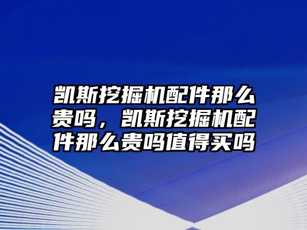 凱斯挖掘機配件那么貴嗎，凱斯挖掘機配件那么貴嗎值得買嗎