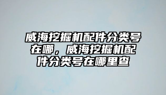 威海挖掘機(jī)配件分類號(hào)在哪，威海挖掘機(jī)配件分類號(hào)在哪里查