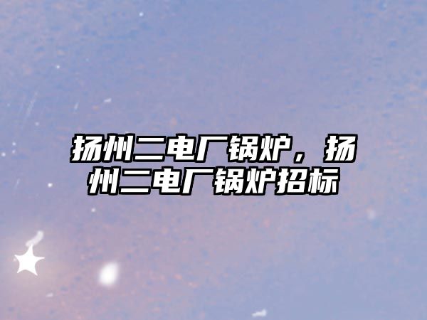 揚州二電廠鍋爐，揚州二電廠鍋爐招標