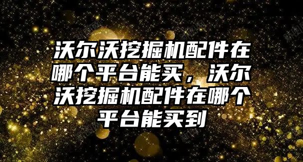 沃爾沃挖掘機配件在哪個平臺能買，沃爾沃挖掘機配件在哪個平臺能買到