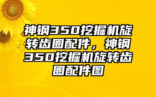 神鋼350挖掘機(jī)旋轉(zhuǎn)齒圈配件，神鋼350挖掘機(jī)旋轉(zhuǎn)齒圈配件圖