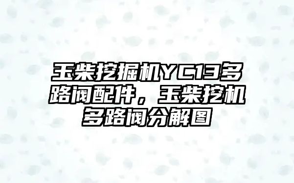 玉柴挖掘機YC13多路閥配件，玉柴挖機多路閥分解圖