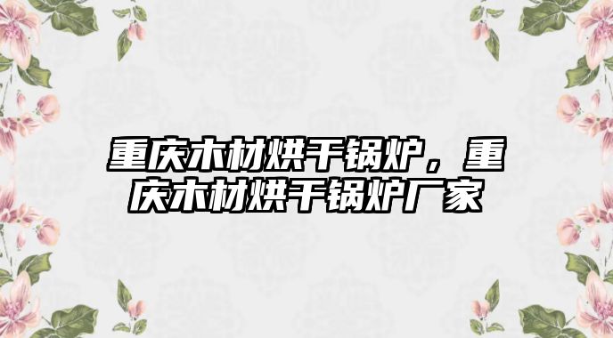 重慶木材烘干鍋爐，重慶木材烘干鍋爐廠家