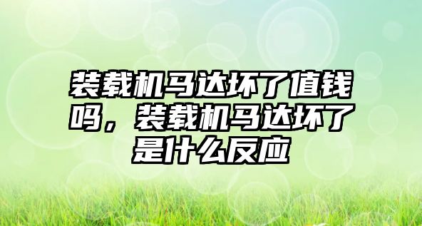 裝載機馬達壞了值錢嗎，裝載機馬達壞了是什么反應