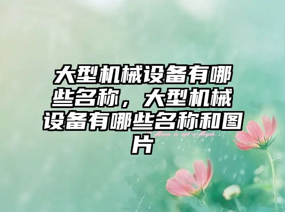 大型機械設(shè)備有哪些名稱，大型機械設(shè)備有哪些名稱和圖片