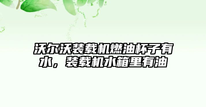 沃爾沃裝載機燃油杯子有水，裝載機水箱里有油