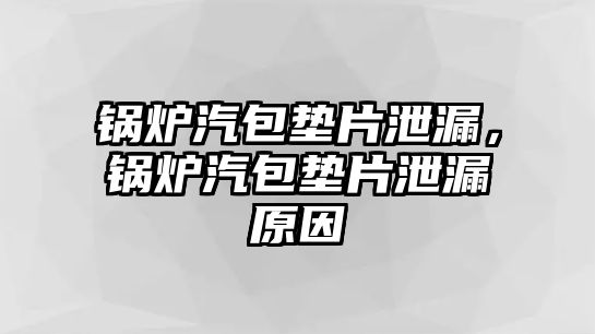 鍋爐汽包墊片泄漏，鍋爐汽包墊片泄漏原因