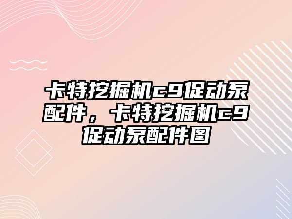 卡特挖掘機c9促動泵配件，卡特挖掘機c9促動泵配件圖