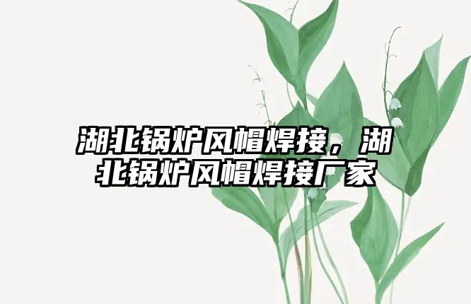 湖北鍋爐風(fēng)帽焊接，湖北鍋爐風(fēng)帽焊接廠家