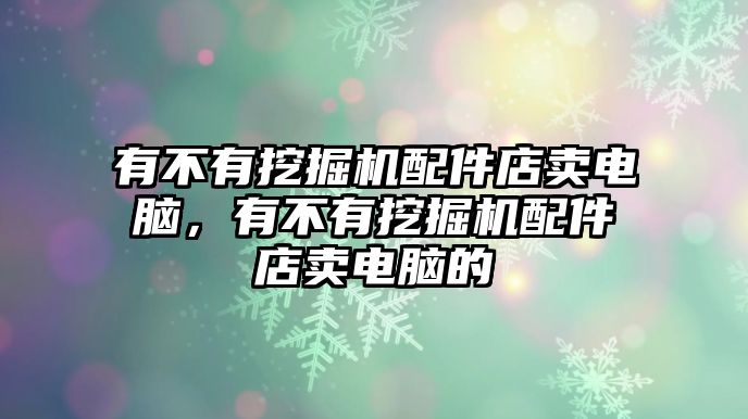 有不有挖掘機(jī)配件店賣電腦，有不有挖掘機(jī)配件店賣電腦的