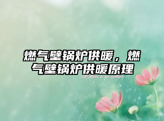 燃?xì)獗阱仩t供暖，燃?xì)獗阱仩t供暖原理