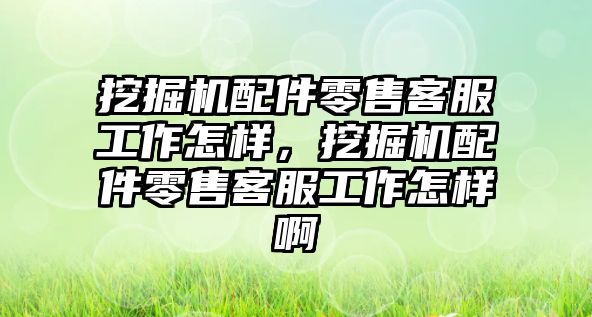 挖掘機配件零售客服工作怎樣，挖掘機配件零售客服工作怎樣啊