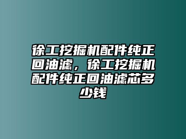 徐工挖掘機配件純正回油濾，徐工挖掘機配件純正回油濾芯多少錢