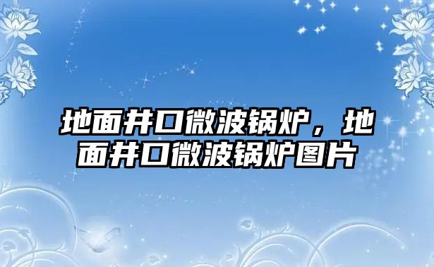 地面井口微波鍋爐，地面井口微波鍋爐圖片