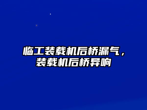 臨工裝載機后橋漏氣，裝載機后橋異響