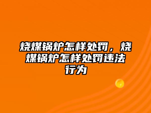 燒煤鍋爐怎樣處罰，燒煤鍋爐怎樣處罰違法行為