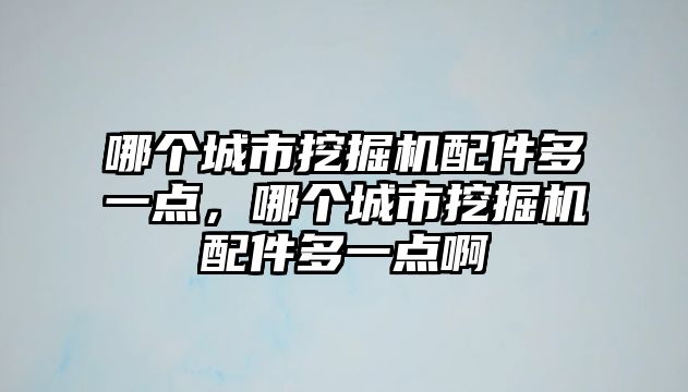 哪個城市挖掘機配件多一點，哪個城市挖掘機配件多一點啊