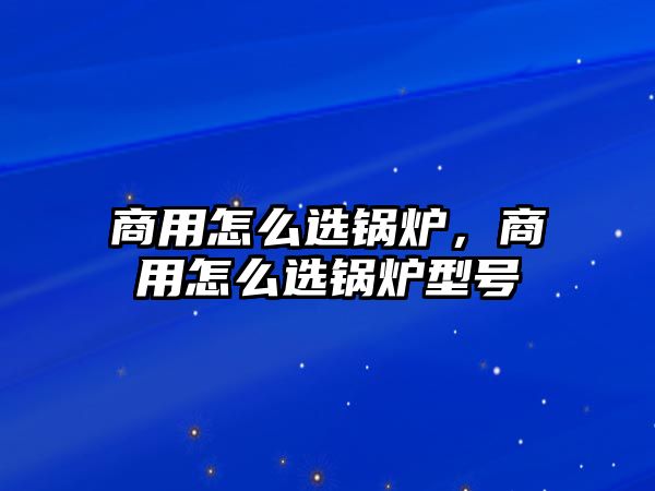 商用怎么選鍋爐，商用怎么選鍋爐型號