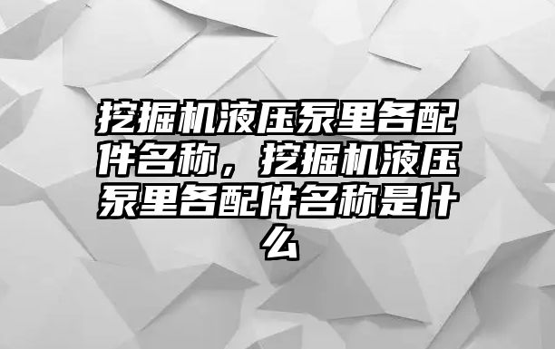 挖掘機液壓泵里各配件名稱，挖掘機液壓泵里各配件名稱是什么