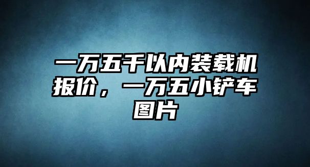 一萬五千以內(nèi)裝載機(jī)報(bào)價(jià)，一萬五小鏟車圖片