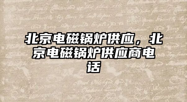 北京電磁鍋爐供應(yīng)，北京電磁鍋爐供應(yīng)商電話