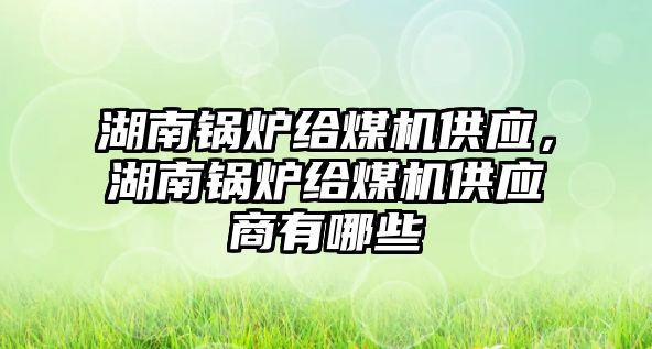 湖南鍋爐給煤機供應，湖南鍋爐給煤機供應商有哪些