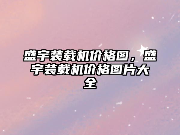 盛宇裝載機價格圖，盛宇裝載機價格圖片大全