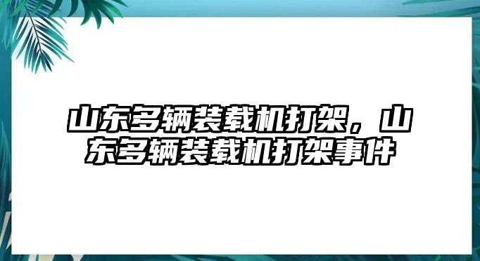 山東多輛裝載機打架，山東多輛裝載機打架事件