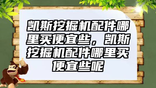 凱斯挖掘機配件哪里買便宜些，凱斯挖掘機配件哪里買便宜些呢