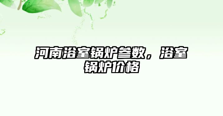 河南浴室鍋爐參數，浴室鍋爐價格