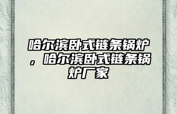 哈爾濱臥式鏈條鍋爐，哈爾濱臥式鏈條鍋爐廠家