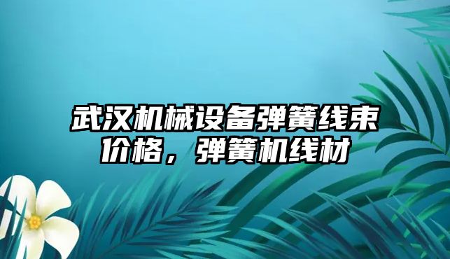 武漢機械設備彈簧線束價格，彈簧機線材