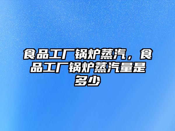 食品工廠鍋爐蒸汽，食品工廠鍋爐蒸汽量是多少