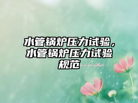 水管鍋爐壓力試驗，水管鍋爐壓力試驗規(guī)范