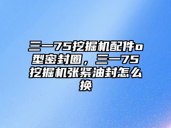 三一75挖掘機(jī)配件o型密封圈，三一75挖掘機(jī)張緊油封怎么換