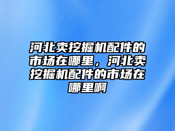 河北賣挖掘機配件的市場在哪里，河北賣挖掘機配件的市場在哪里啊