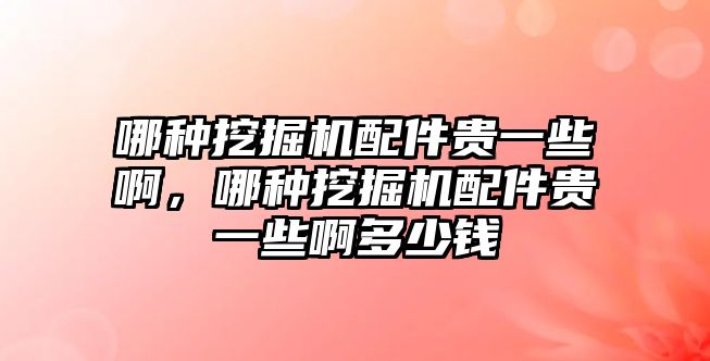 哪種挖掘機(jī)配件貴一些啊，哪種挖掘機(jī)配件貴一些啊多少錢