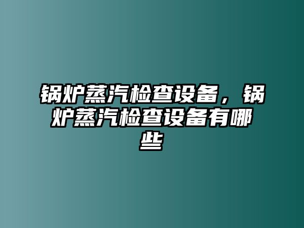 鍋爐蒸汽檢查設(shè)備，鍋爐蒸汽檢查設(shè)備有哪些