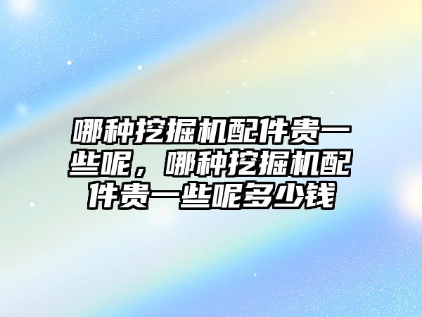 哪種挖掘機配件貴一些呢，哪種挖掘機配件貴一些呢多少錢