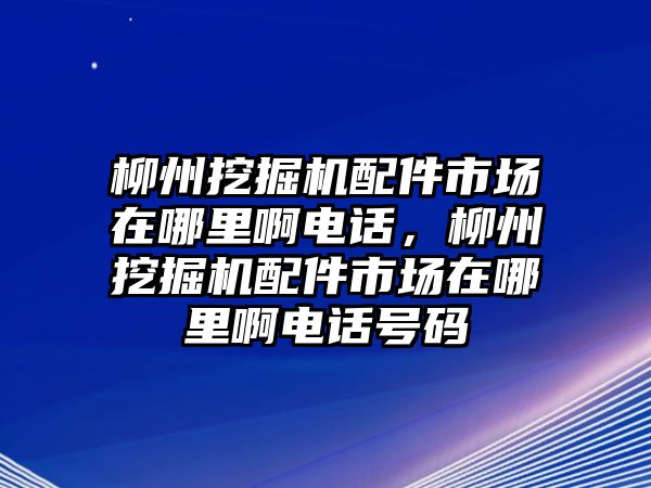 柳州挖掘機配件市場在哪里啊電話，柳州挖掘機配件市場在哪里啊電話號碼