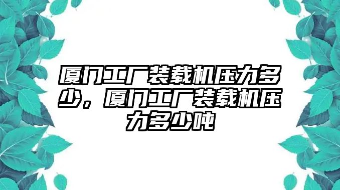 廈門工廠裝載機壓力多少，廈門工廠裝載機壓力多少噸