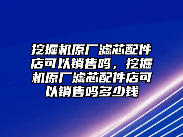 挖掘機原廠濾芯配件店可以銷售嗎，挖掘機原廠濾芯配件店可以銷售嗎多少錢